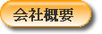 ЊTv